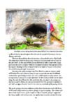 Arizona Springs: The Desert's Draught - Image 2